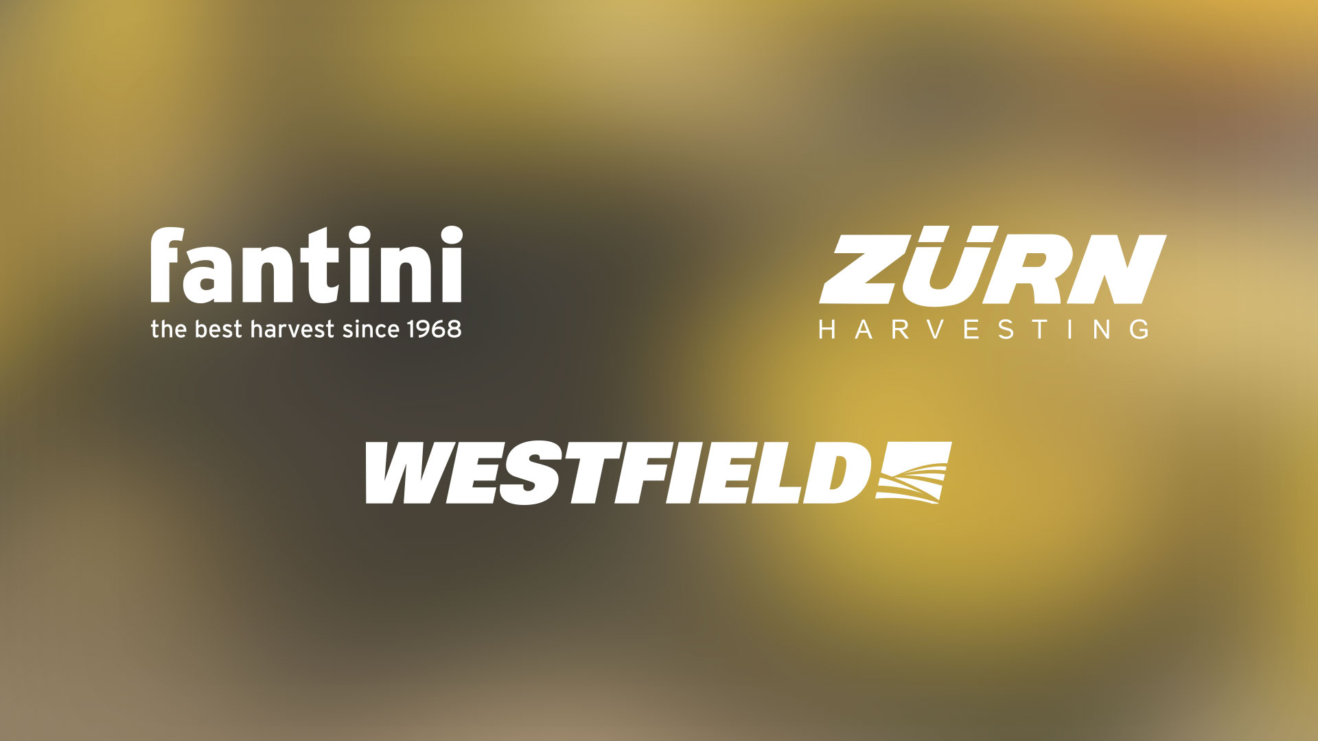 Marques leader Fantini Zurn et Westfield