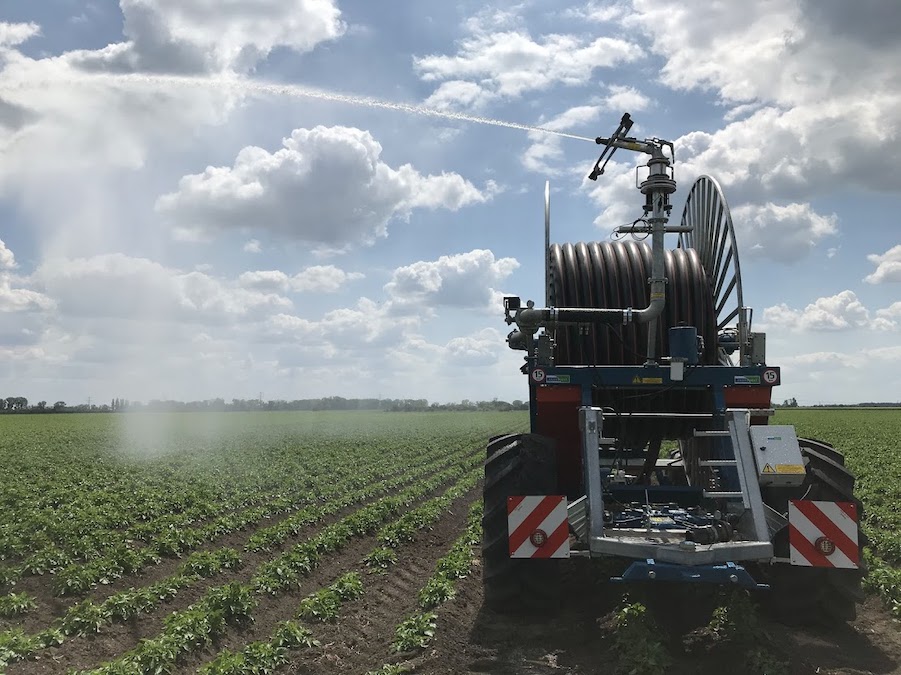 arrosage d'un champs de pommes de terre